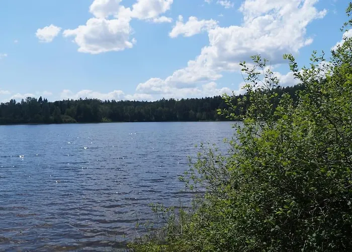 別荘 Nad Jeziorem Kaszuby Max 6 Os